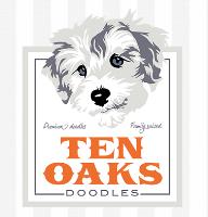 Ten Oaks Doodles image 1